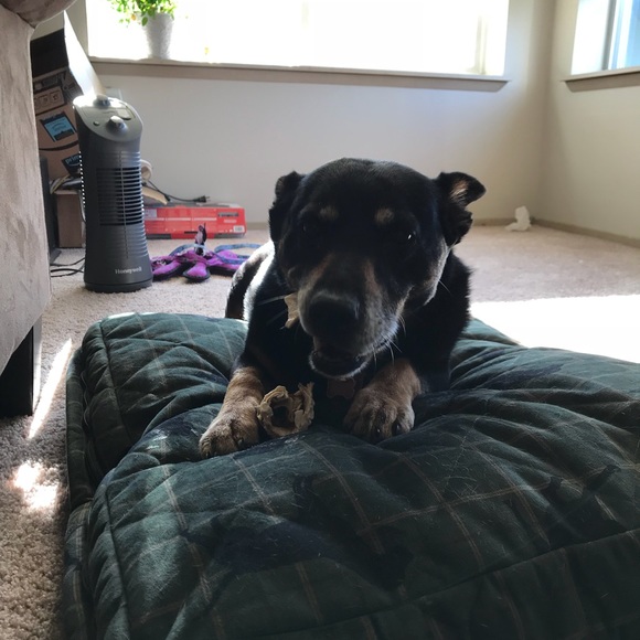 Welcome, Mika!! - Picture 7 of 8